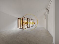 Parcul Carol 60 mp curte proprie, cafenea, magazin, salon